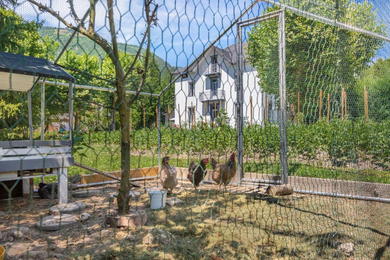 Le Clos Grillet La Chambre Zewnętrze zdjęcie